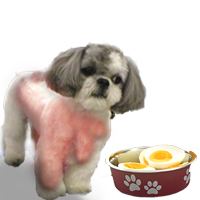 dog food for shih tzu puppy